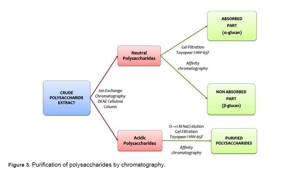 Electronic-Journal-Biology-Purification-polysaccharides