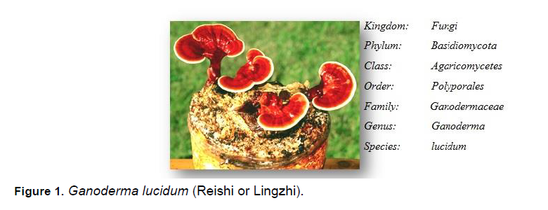 Electronic-Journal-Biology-Reishi-Lingzhi