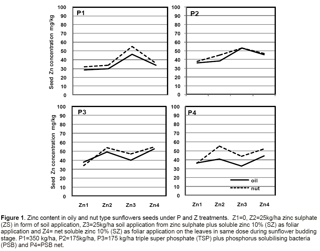 Response Of Nut And Oilseed Sunflower To Different Sources - 