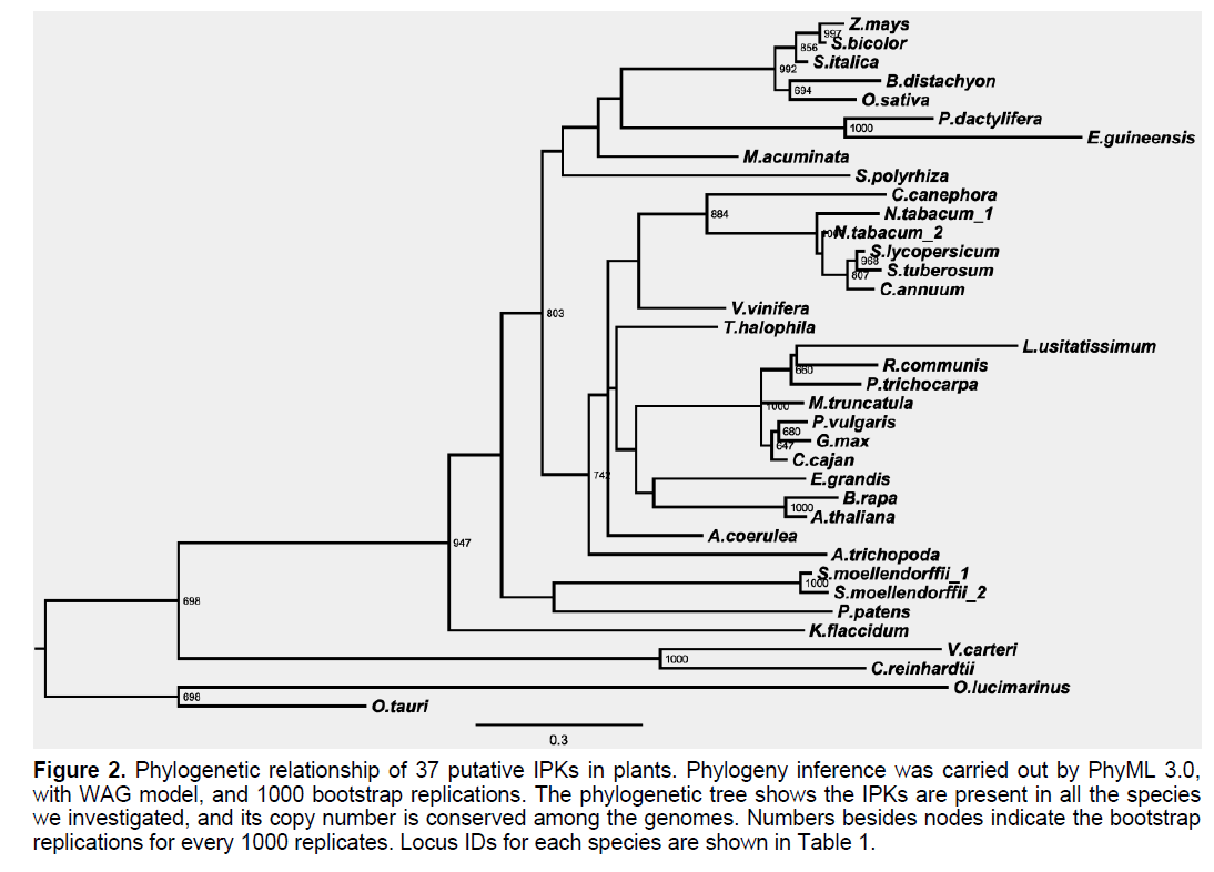 ejbio-Phylogeny-inference