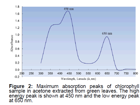 ejbio-energy-peak