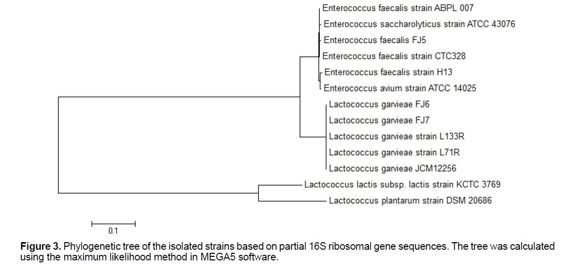 ejbio-gene-sequences