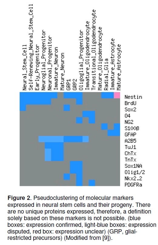 electronic-biology-molecular-markers