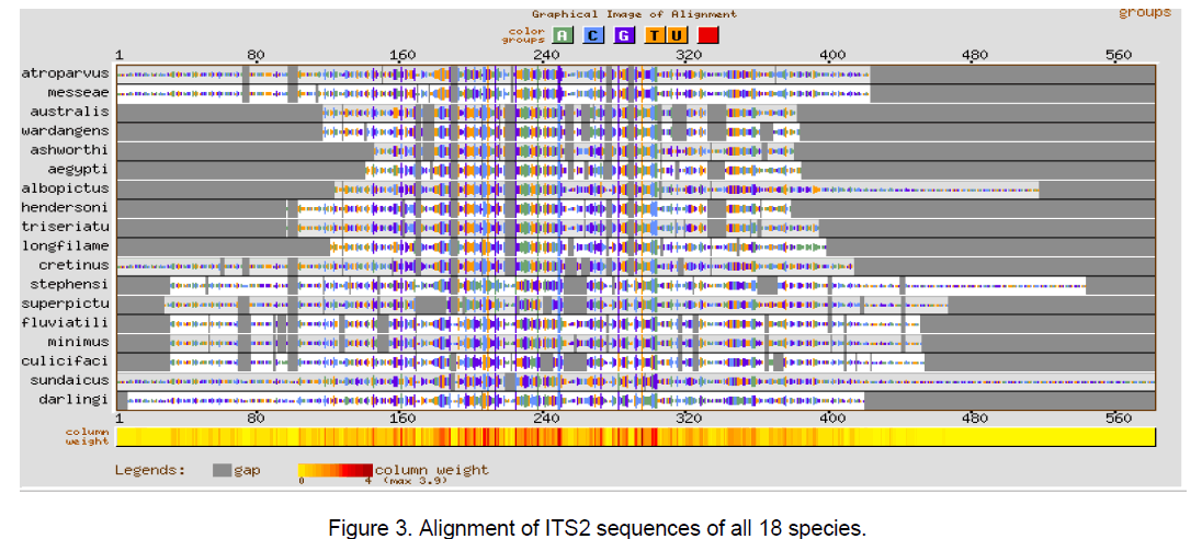 electronic-biology-sequences-species