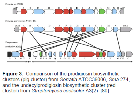 electronic-journal-of-biology-prodigiosin-biosynthetic